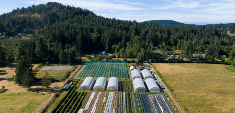 Farm Profile: Northstar Organics Farm